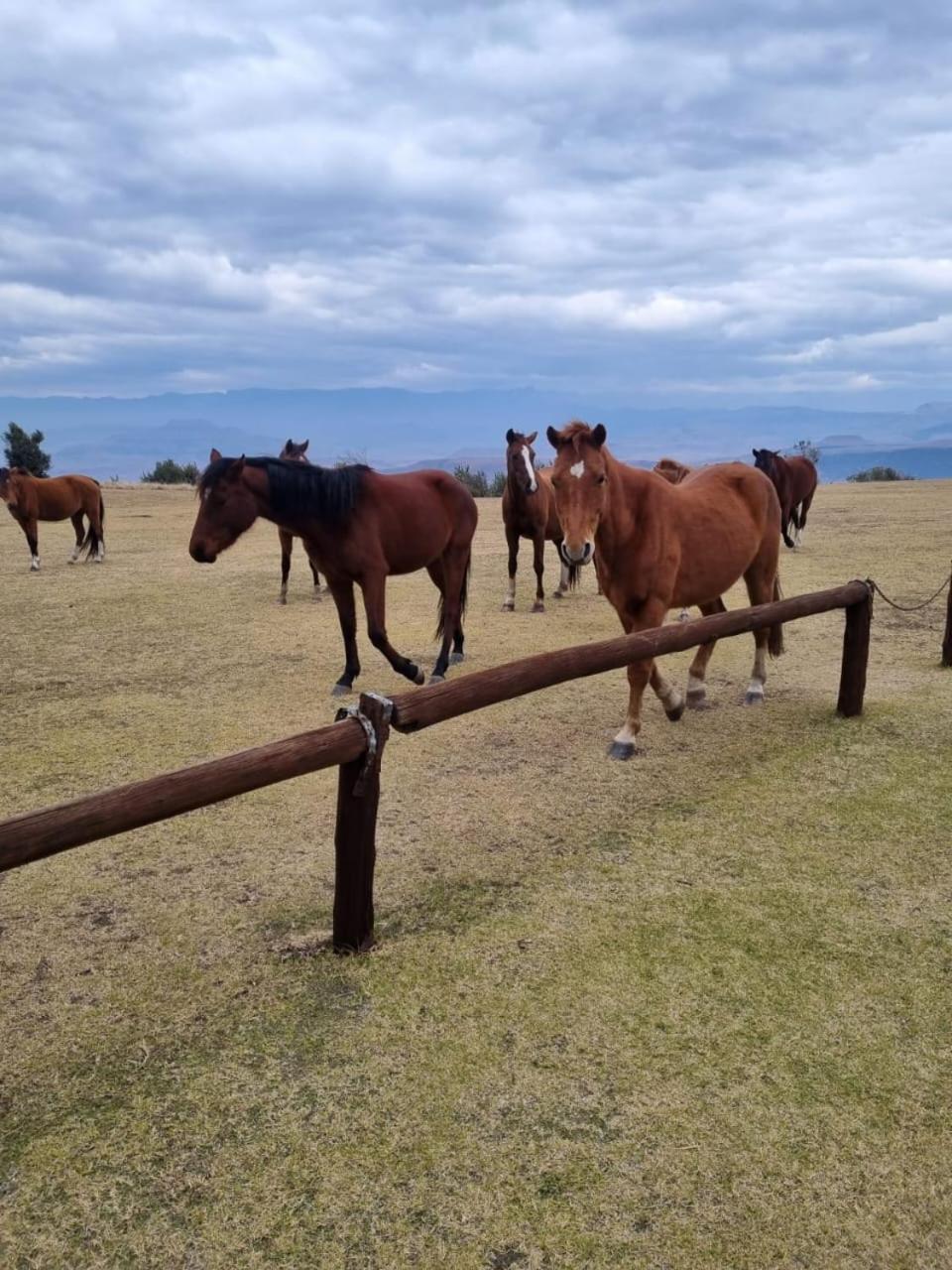 Drakensberg Mountain Retreat Guest House Bergville Luaran gambar